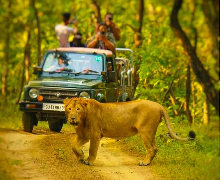 Desert road – Diu outstation taxi route